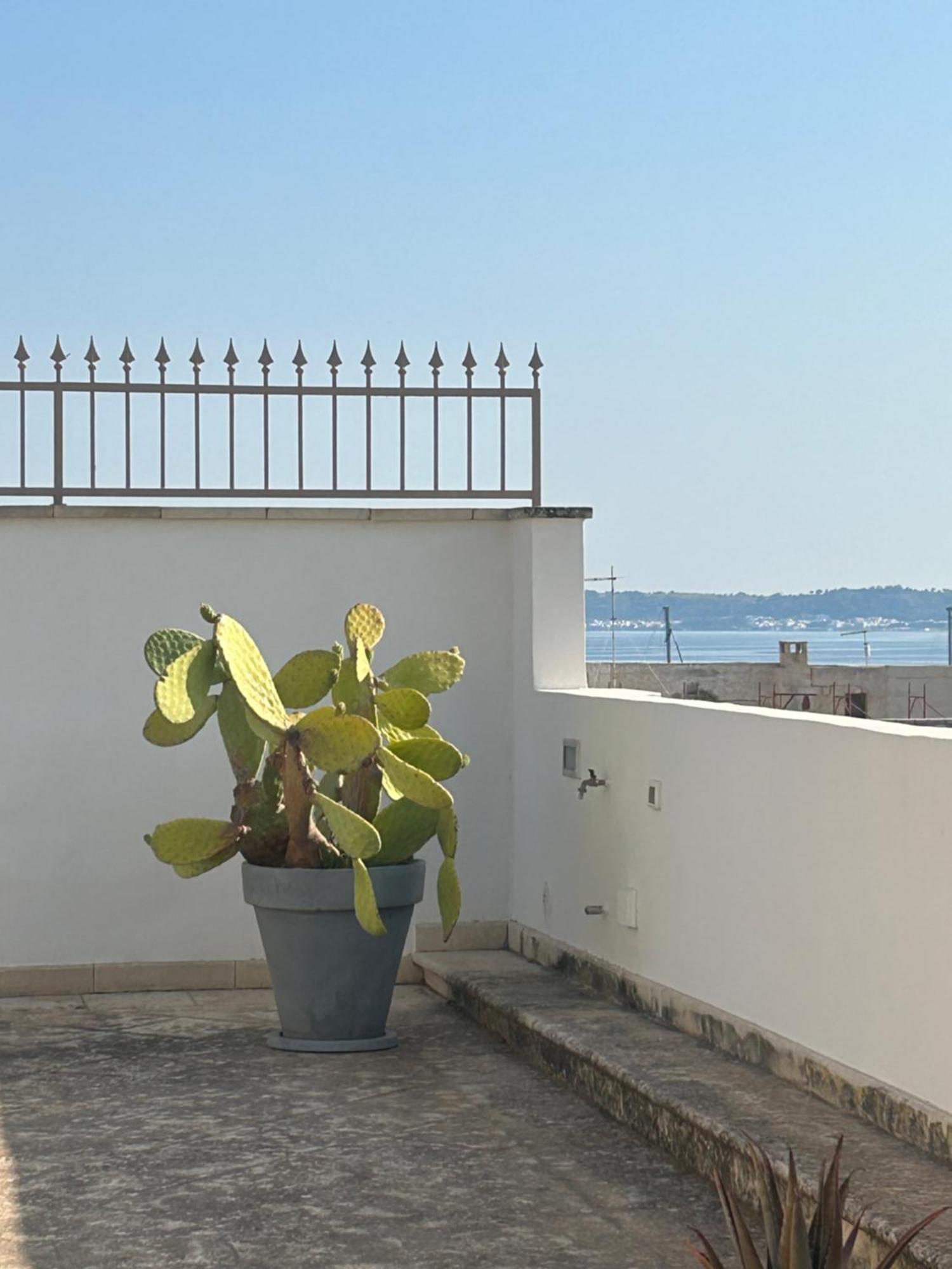 Palazzo Angelelli Bed and breakfast